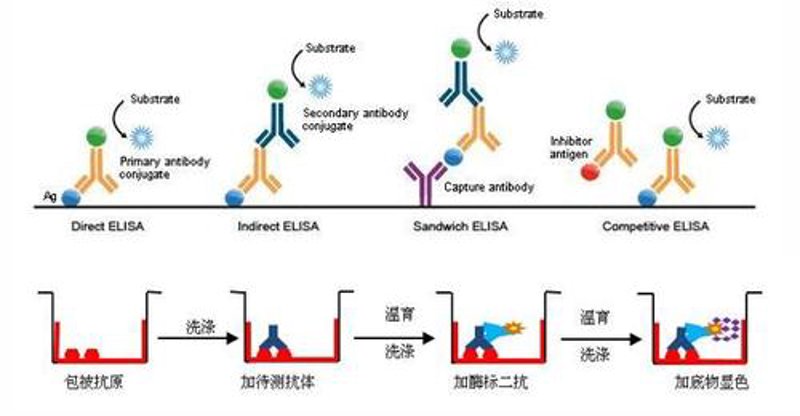 科研试剂行业动态一览