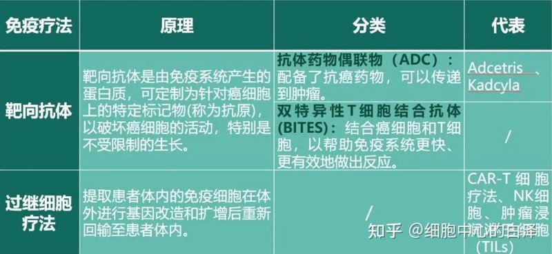 生物科技：推动未来医疗的强大力量